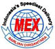 Logo-Mex